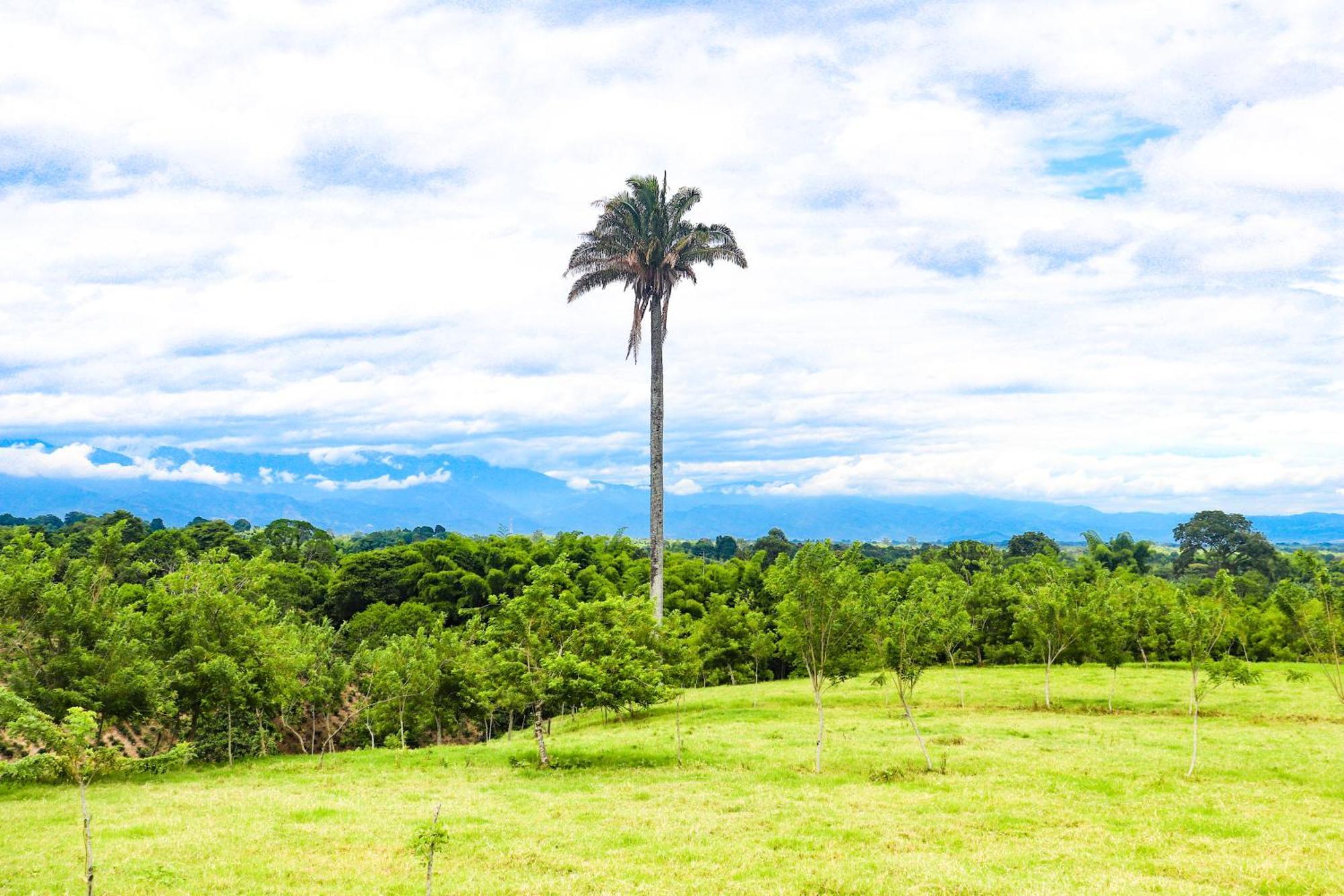 Hotel Quindio Campestre Montenegro Luaran gambar